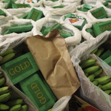 Portugal: Police Seizes 800 Kilos of Cocaine Hidden in Banana Boxes