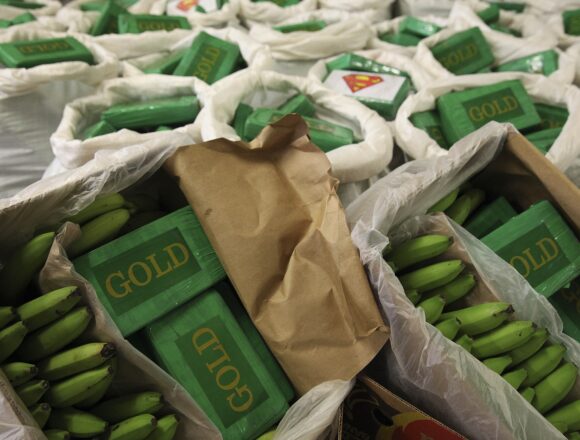 Portugal: Police Seizes 800 Kilos of Cocaine Hidden in Banana Boxes